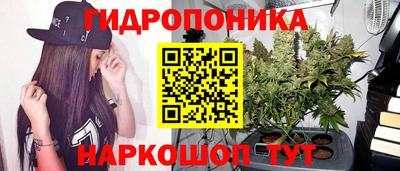 гашик Севастополь